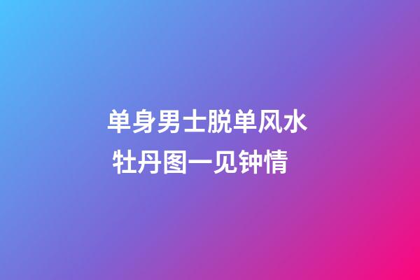 单身男士脱单风水  牡丹图一见钟情